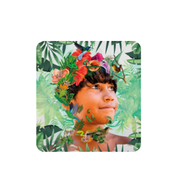 ninio_nftree